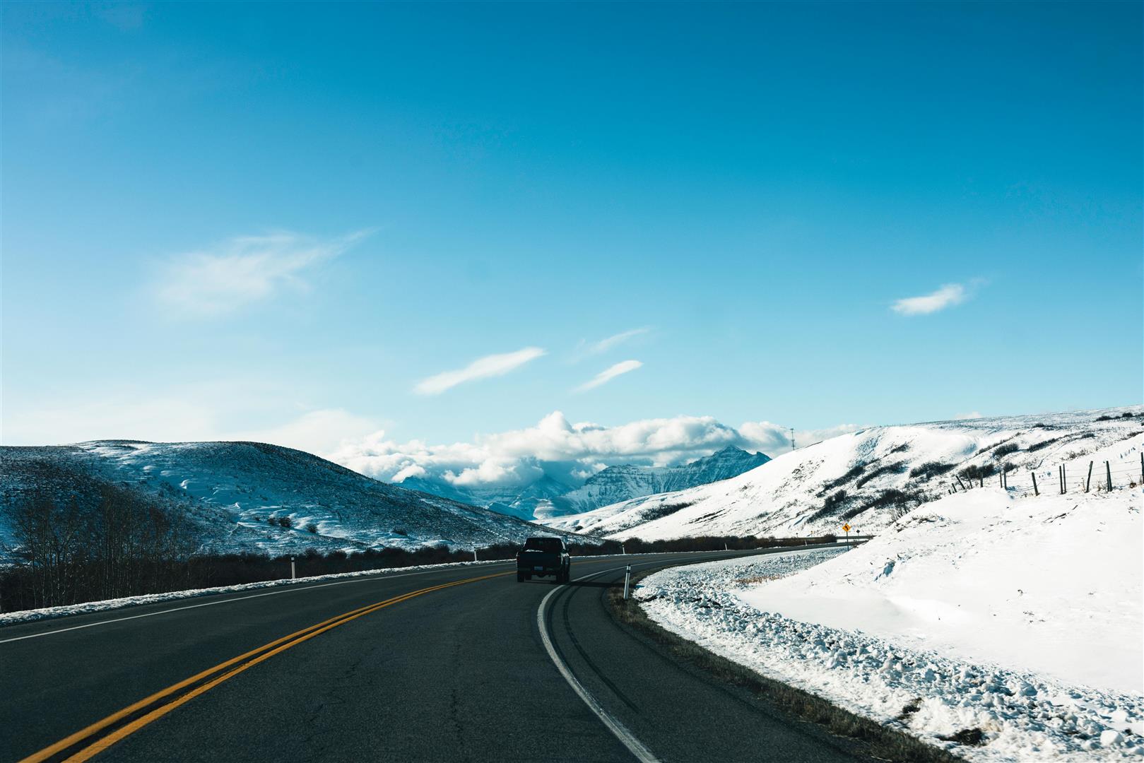 🚗 Why I Chose European Motor Cars (And Never Looked Back)